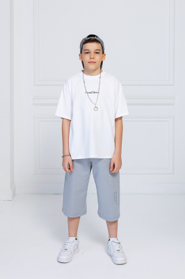 933506 Футболка, трикотаж, лето, 120-170, для мальчика, "MIX"  (Белый, 120)