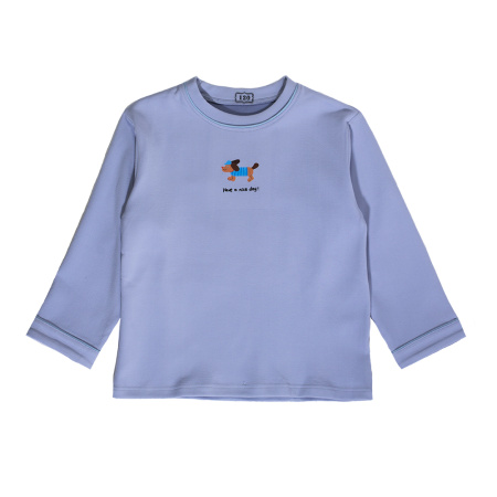 132961 серо-голуб