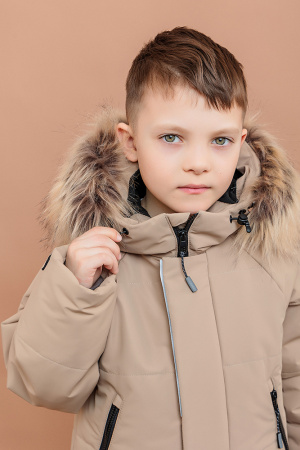 242-26з Комплект дм Грейг Латте (24)