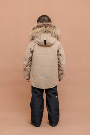 242-26з Комплект дм Грейг Латте (12)